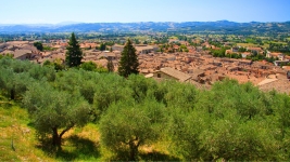 Biuro podróży Strade d'Italia Mikołów