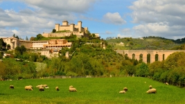 Biuro podróży Strade d'Italia Mikołów