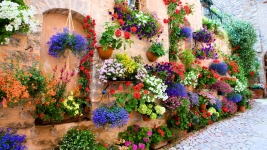 Biuro podróży Strade d'Italia Mikołów