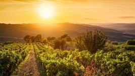 Biuro podróży Strade d'Italia Mikołów