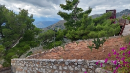 Sycylijska przyroda nie zna granic - na Wzgórzu Zamkowym